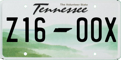 TN license plate Z1600X