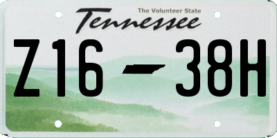 TN license plate Z1638H