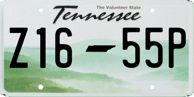 TN license plate Z1655P