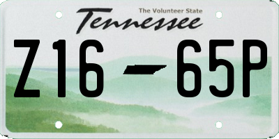 TN license plate Z1665P