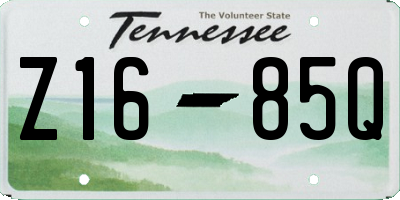 TN license plate Z1685Q