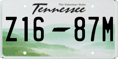 TN license plate Z1687M