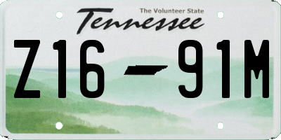 TN license plate Z1691M