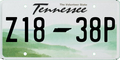 TN license plate Z1838P