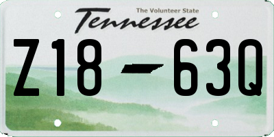 TN license plate Z1863Q