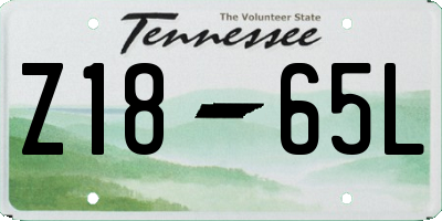 TN license plate Z1865L