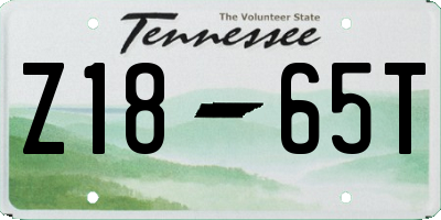 TN license plate Z1865T