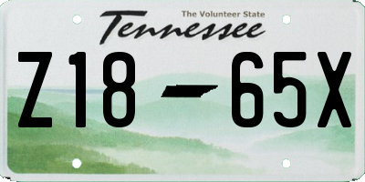 TN license plate Z1865X