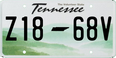 TN license plate Z1868V