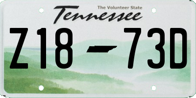 TN license plate Z1873D
