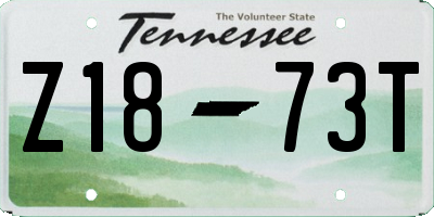 TN license plate Z1873T