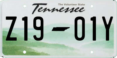 TN license plate Z1901Y