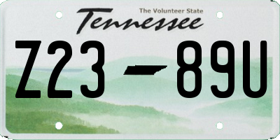 TN license plate Z2389U