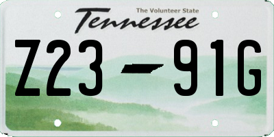 TN license plate Z2391G