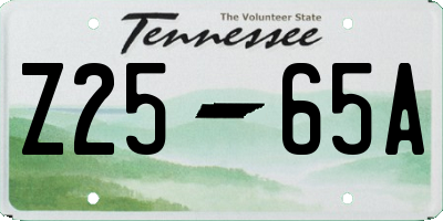 TN license plate Z2565A