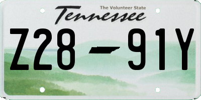 TN license plate Z2891Y