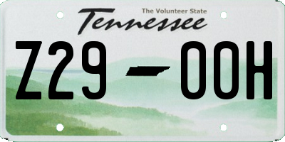 TN license plate Z2900H