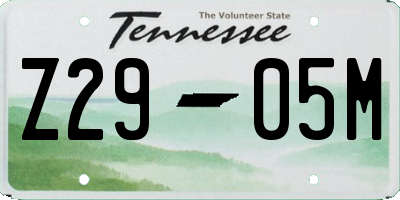 TN license plate Z2905M