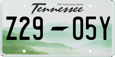 TN license plate Z2905Y