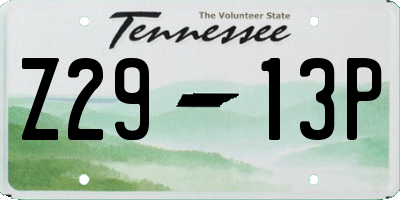 TN license plate Z2913P