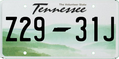 TN license plate Z2931J