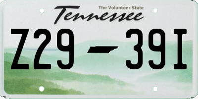 TN license plate Z2939I