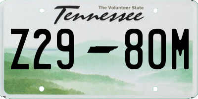 TN license plate Z2980M