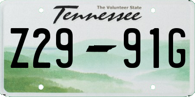 TN license plate Z2991G