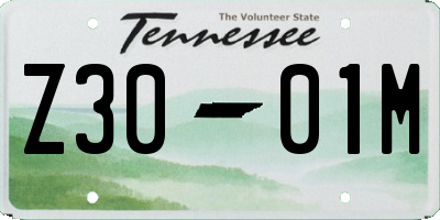 TN license plate Z3001M