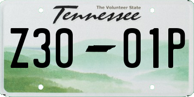 TN license plate Z3001P