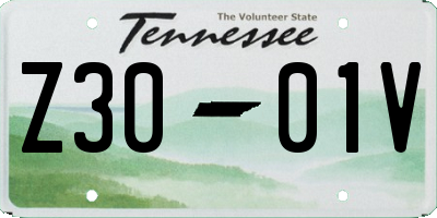 TN license plate Z3001V