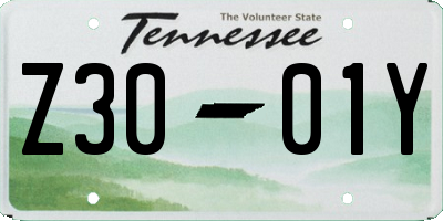 TN license plate Z3001Y
