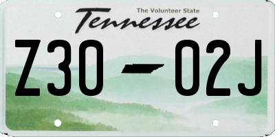TN license plate Z3002J