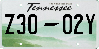 TN license plate Z3002Y