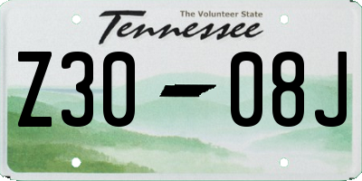 TN license plate Z3008J