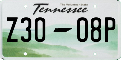 TN license plate Z3008P