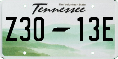 TN license plate Z3013E
