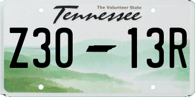 TN license plate Z3013R