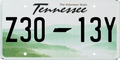 TN license plate Z3013Y