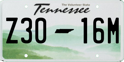 TN license plate Z3016M
