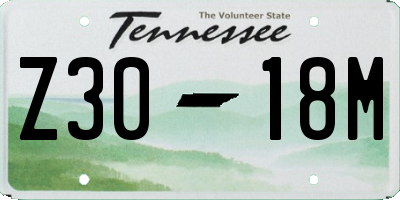 TN license plate Z3018M