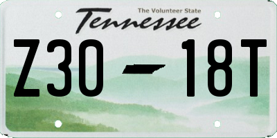 TN license plate Z3018T