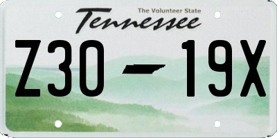 TN license plate Z3019X