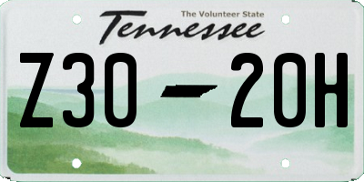 TN license plate Z3020H