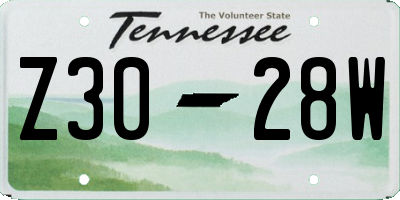 TN license plate Z3028W