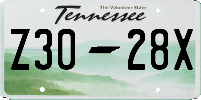 TN license plate Z3028X