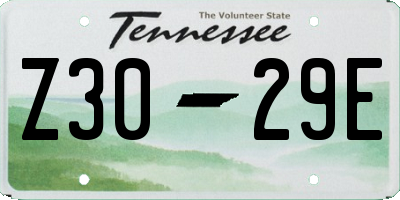 TN license plate Z3029E