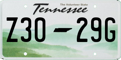 TN license plate Z3029G