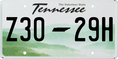TN license plate Z3029H