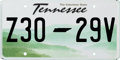 TN license plate Z3029V